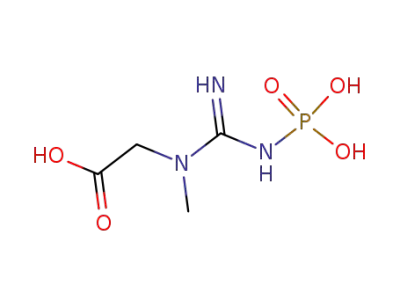 Phosphocreatine