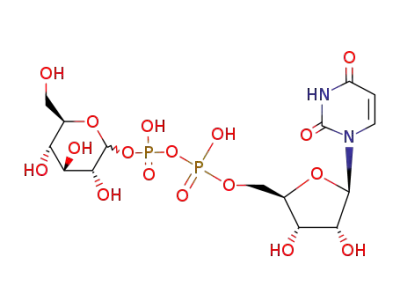 uridine-5'-diphosphoglucose